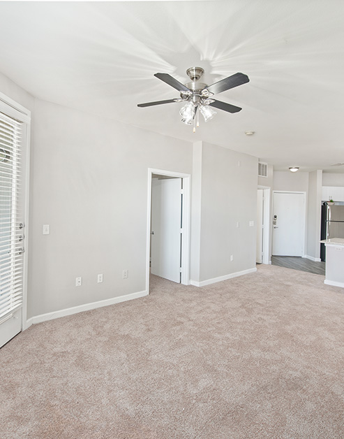 An open-space living room with a ceiling fan and carpeted floors adjacent to the kitchen at MAA Medical District luxury apartments in Dallas, TX