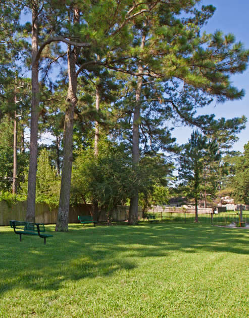 Gated dog park with grass and benches surrounded by lush trees at MAA Cypresswood luxury apartments in Spring, TX
