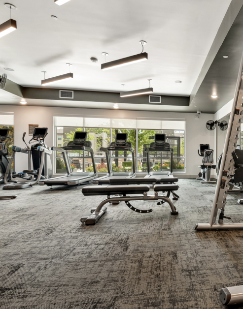Modern fitness center with multiple treadmills facing a large picture window, along with various exercise equipment on carpeted floors at MAA Park Point luxury apartments in Houston, TX