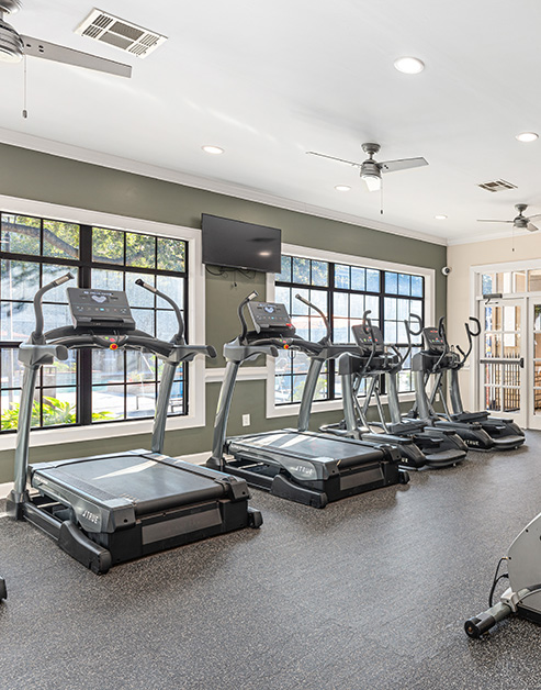 Fitness center with ceiling fans, wall mounted TV and row of treadmills next to large picture windows at MAA Haven at Blanco luxury apartments in the San Antonio, TX