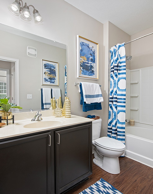 Bathroom at Station Square luxury apartment homes in Fredericksburg, VA