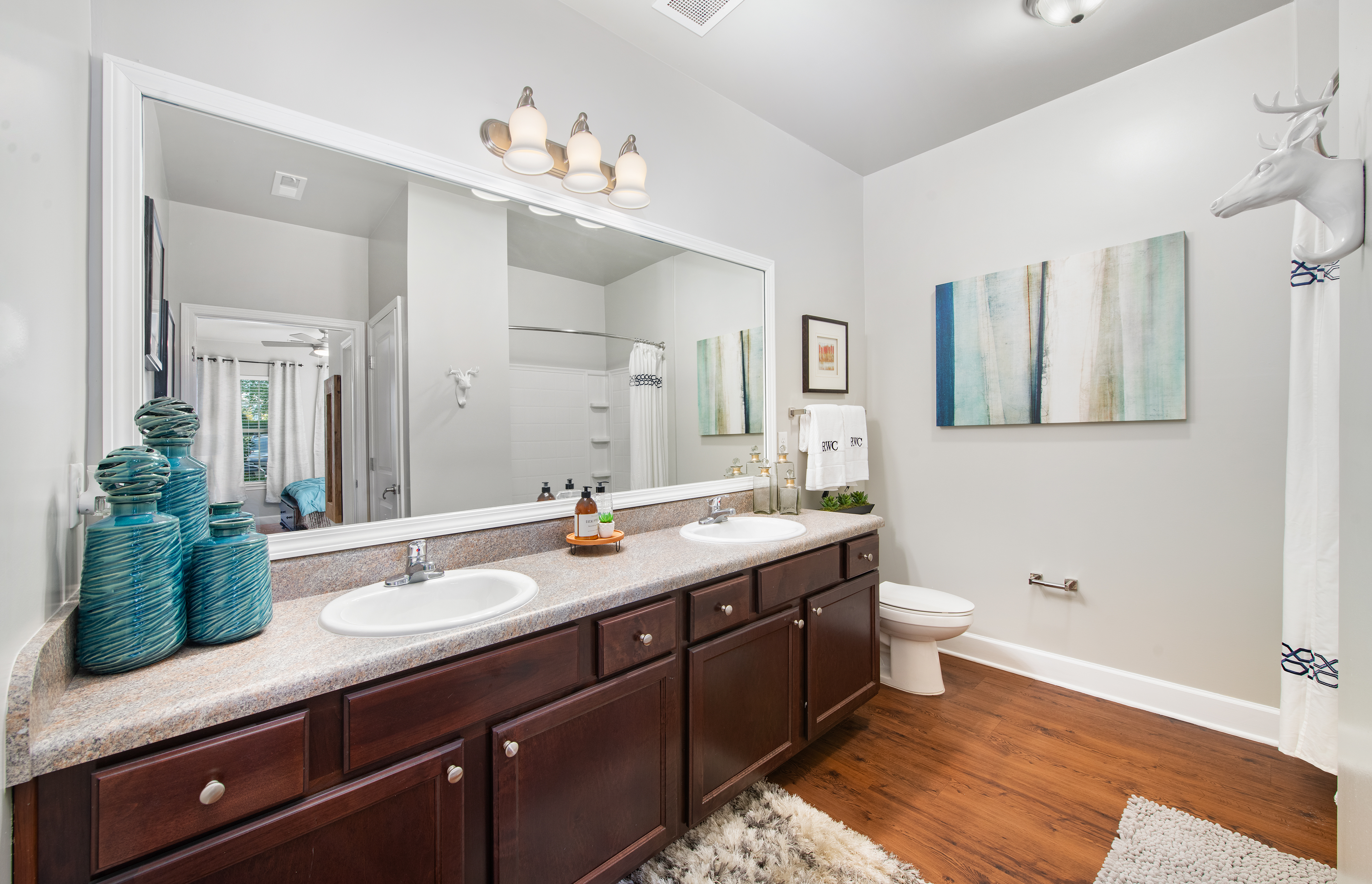 Bathroom at MAA West Creek luxury apartment homes in Richmond, VA