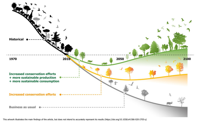 FIGURE 2: BENDING THE CURVE OF BIODIVERSITY LOSS