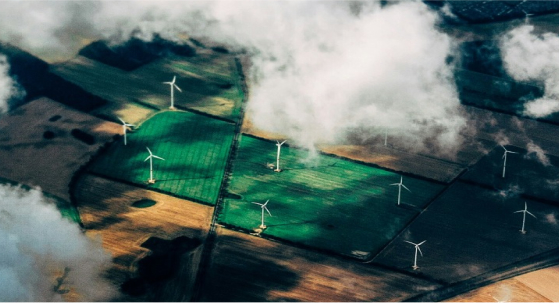 Wind turbine and farmland