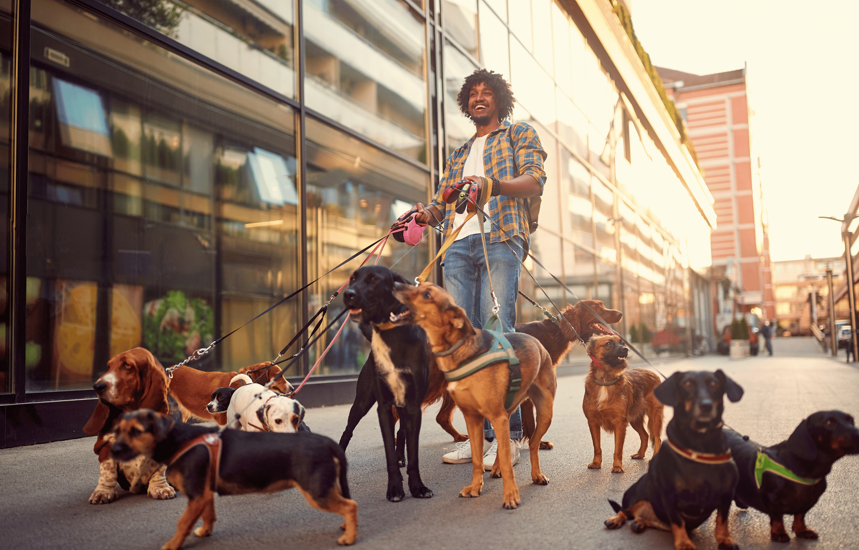 Choosing the Right Breed of Dog