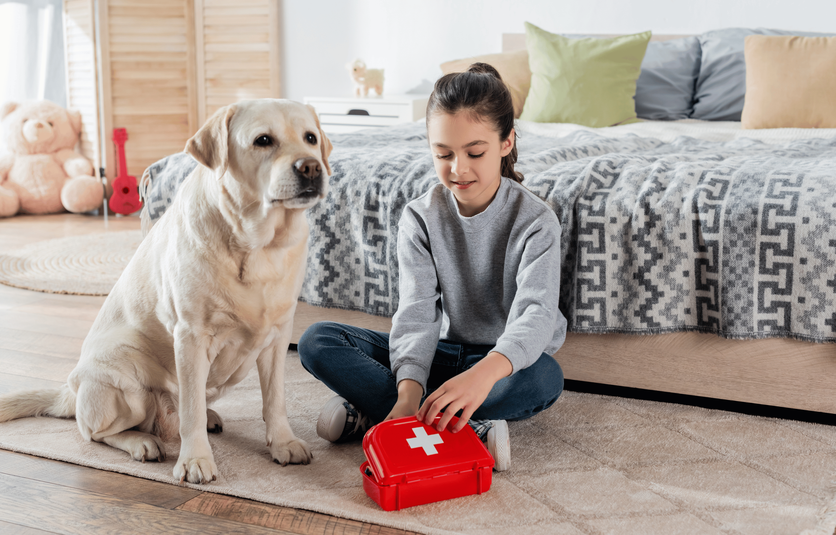 Doggy First Aid