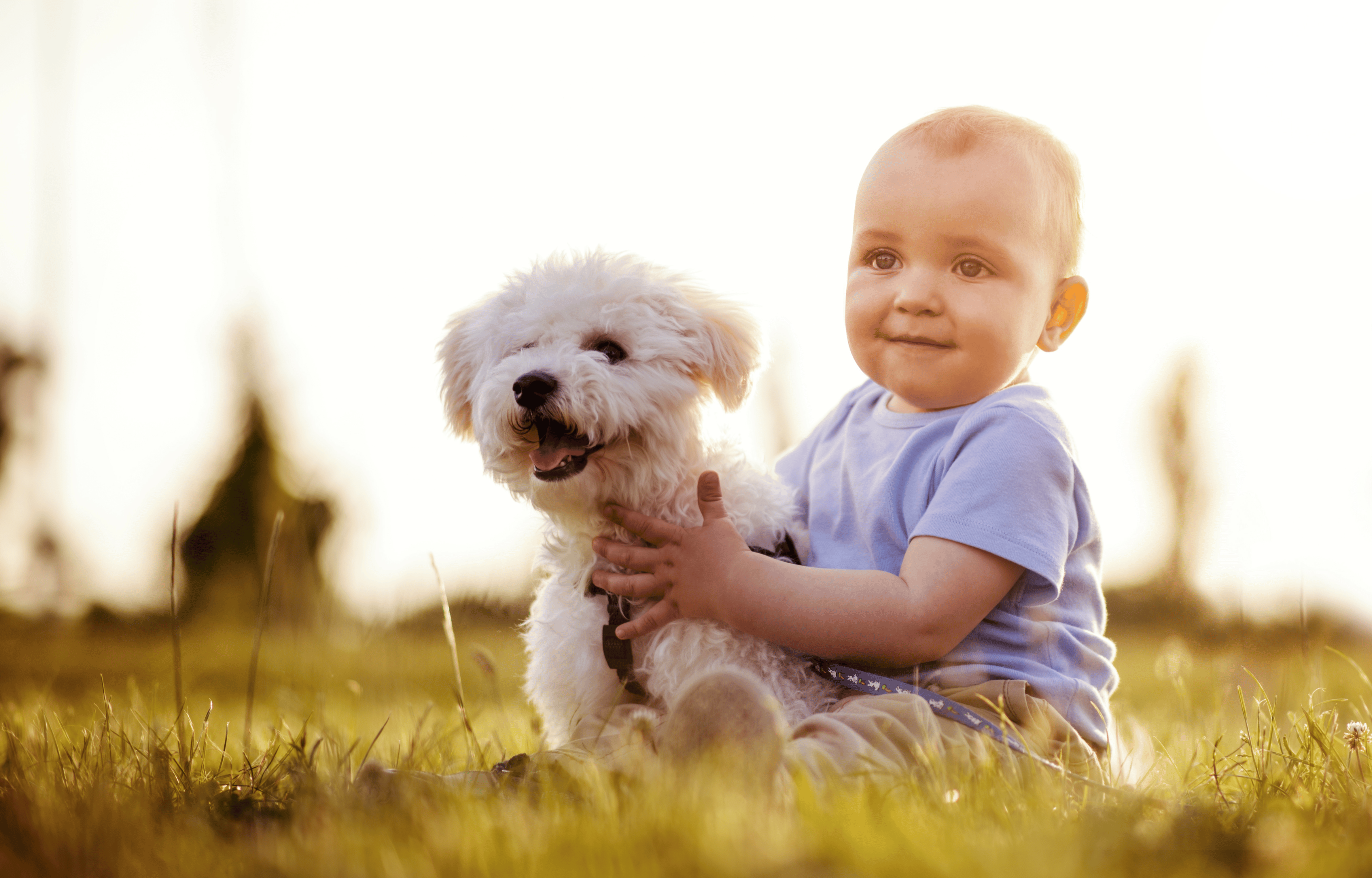 Introducing your Dog and your Baby