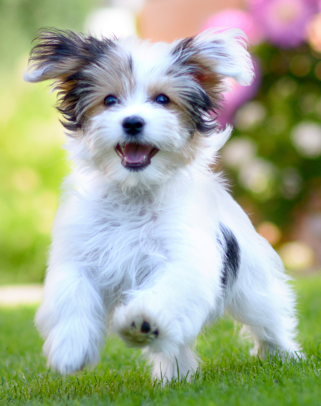 Man walking to a marooned boat