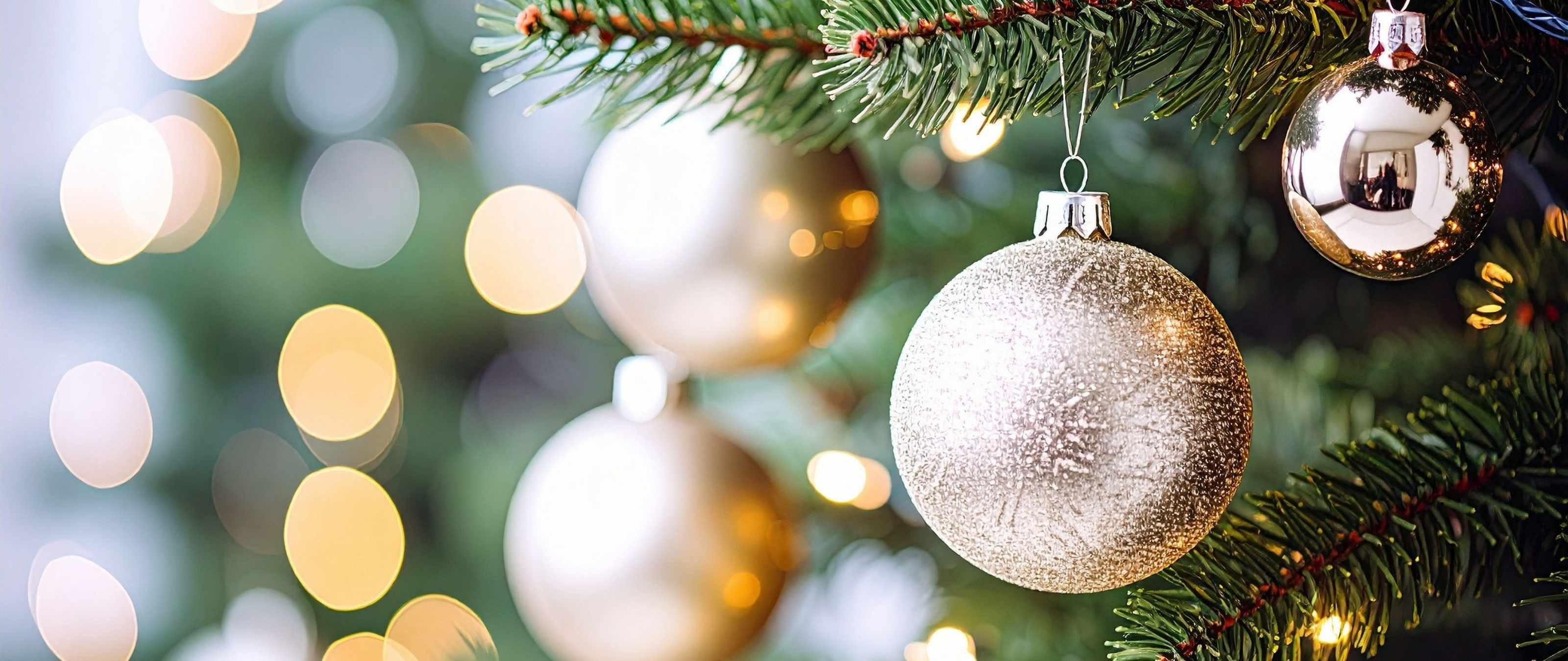 Christmas Lights at Mary MacKillop Place