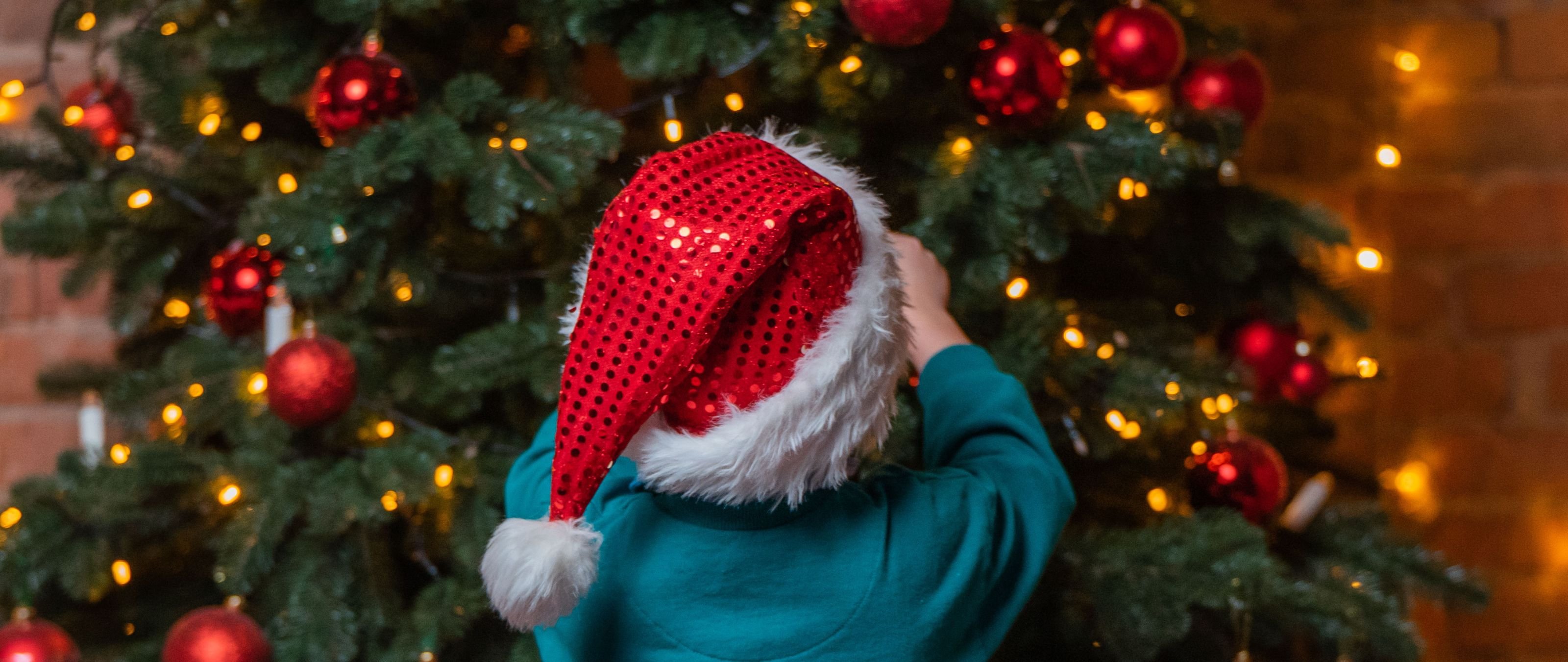 Tree of Joy Full of Wonder