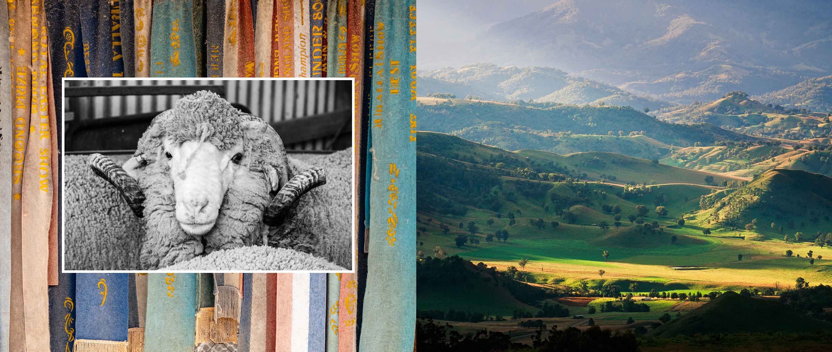 M. J. Bale: True Blue