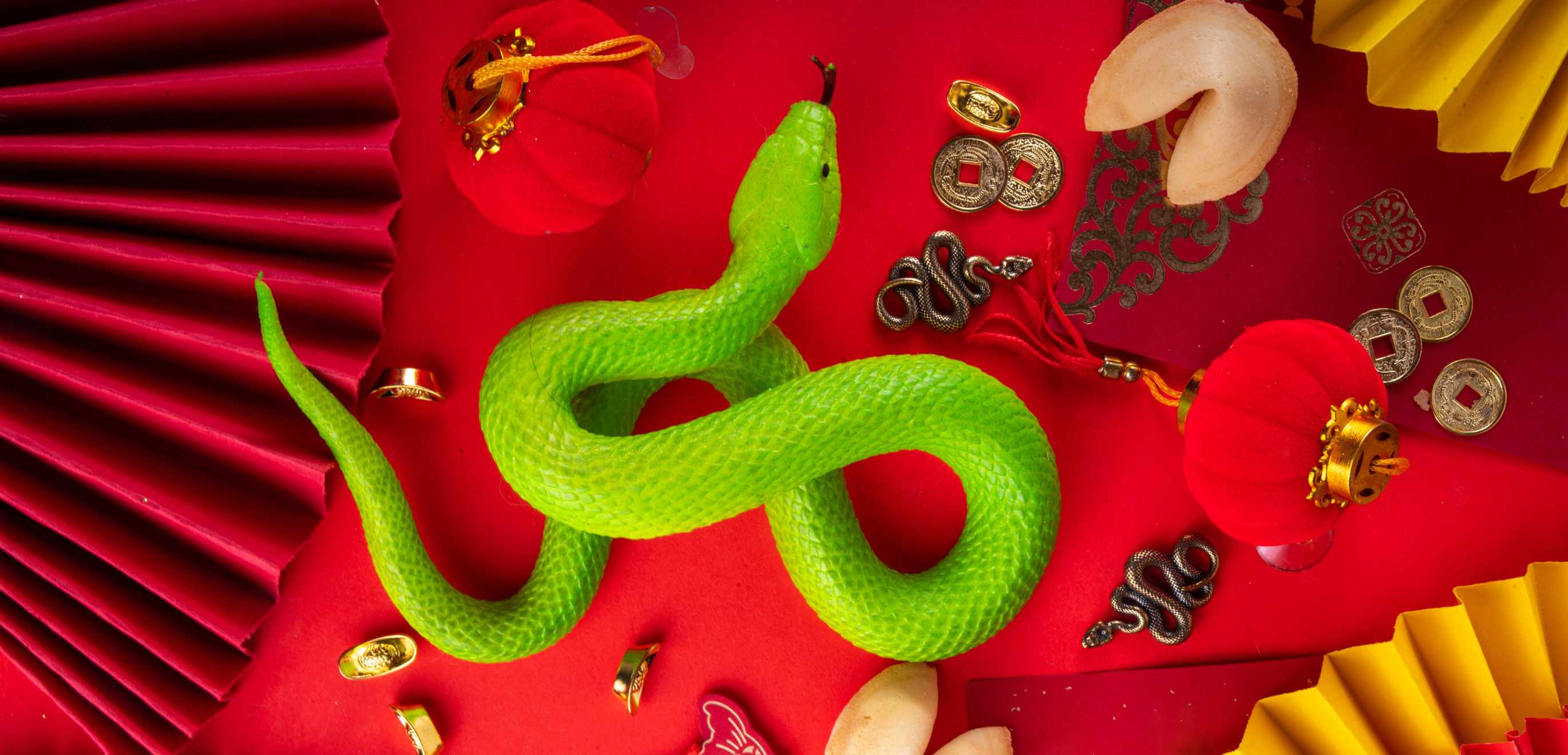 Year of the Snake Predictions by Mina Zheng