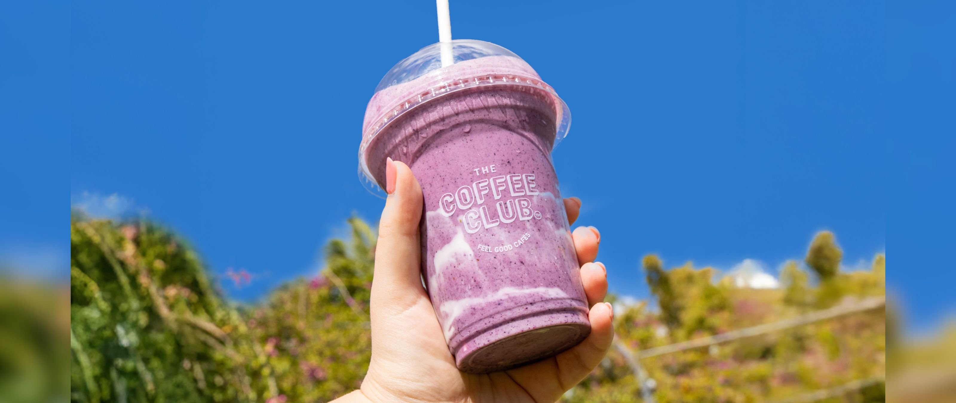 The Coffee Club: Summer Menu