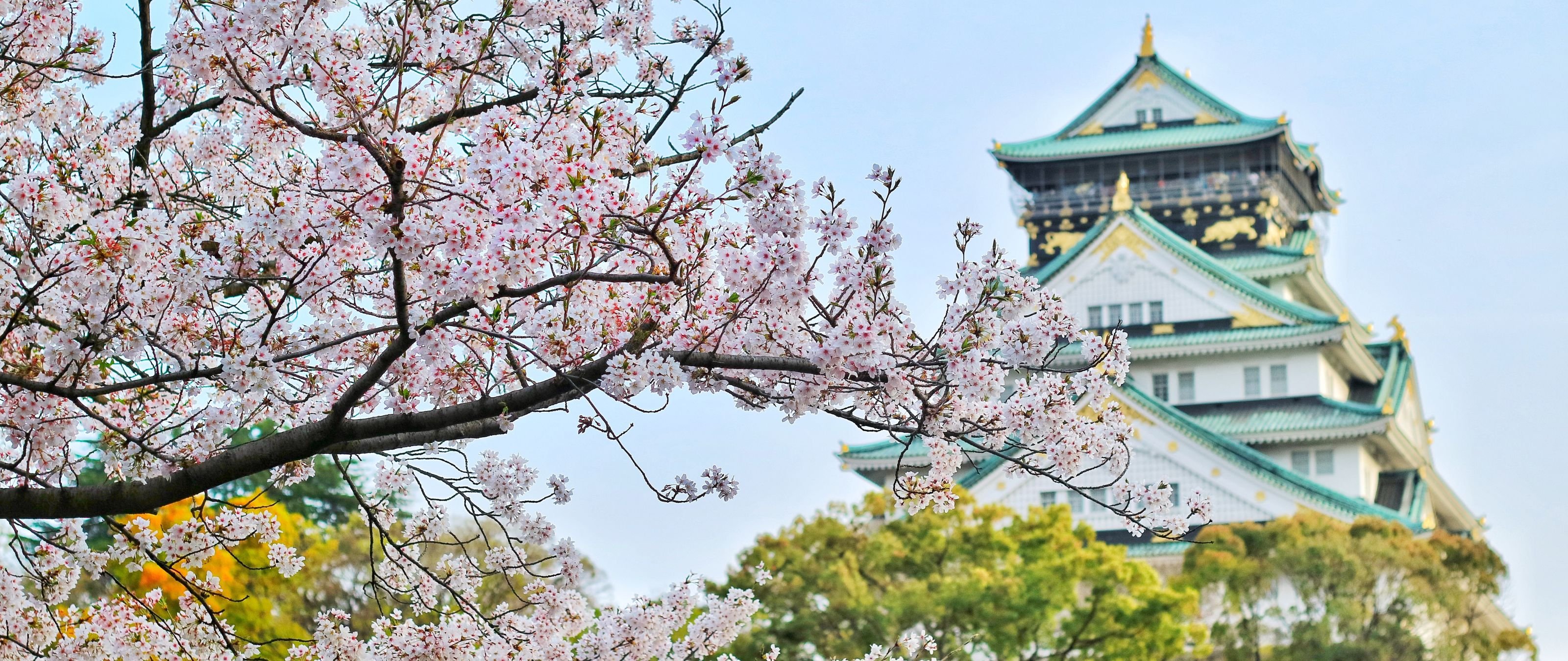 Travel Money Oz - Now Open!