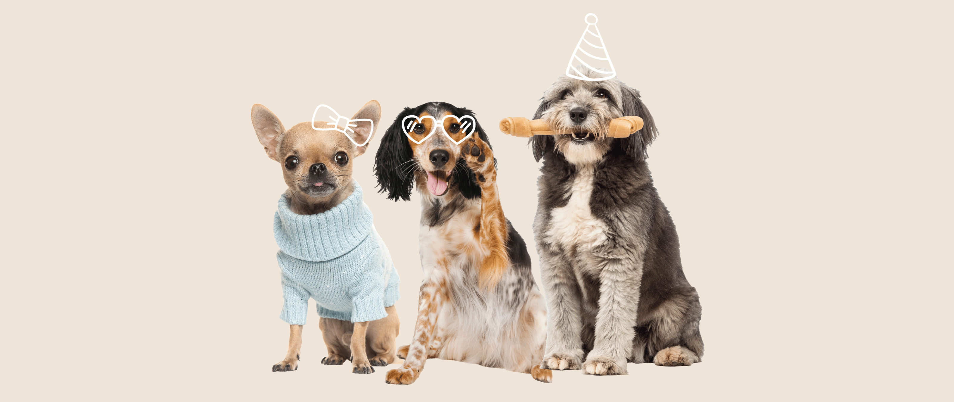 International Dog Day | Paws for a Photo