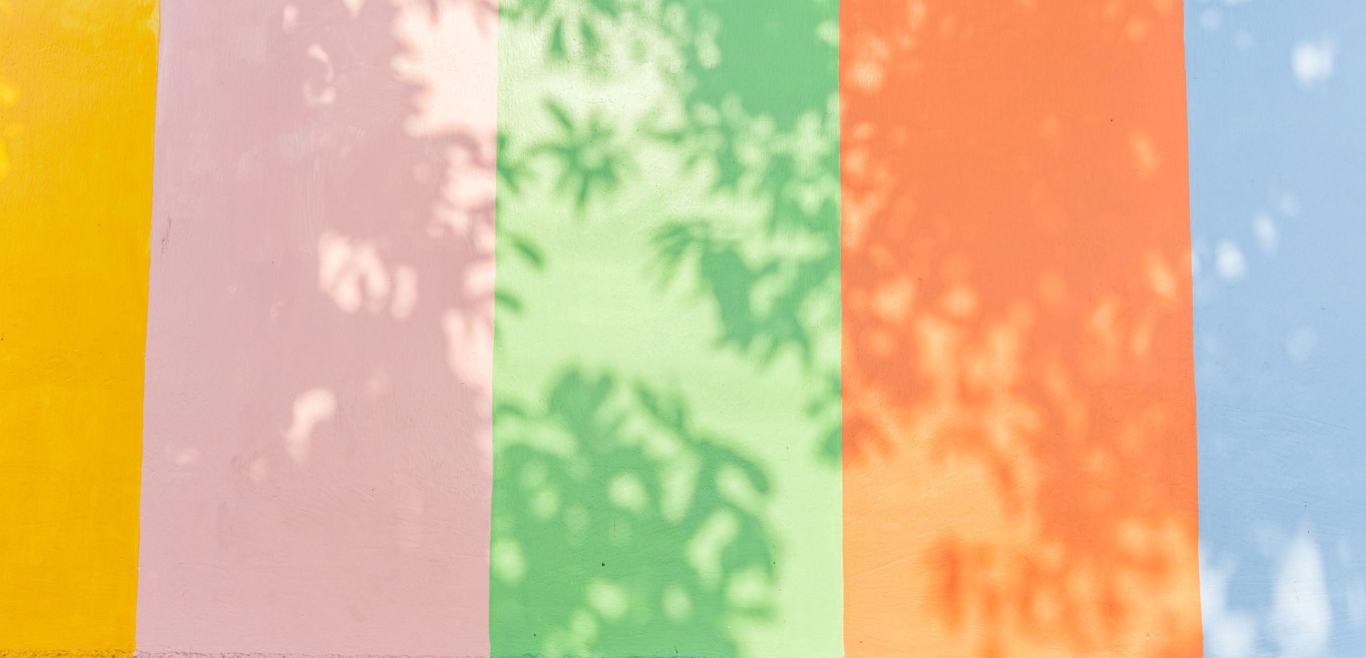 Colour Psychology Article Image