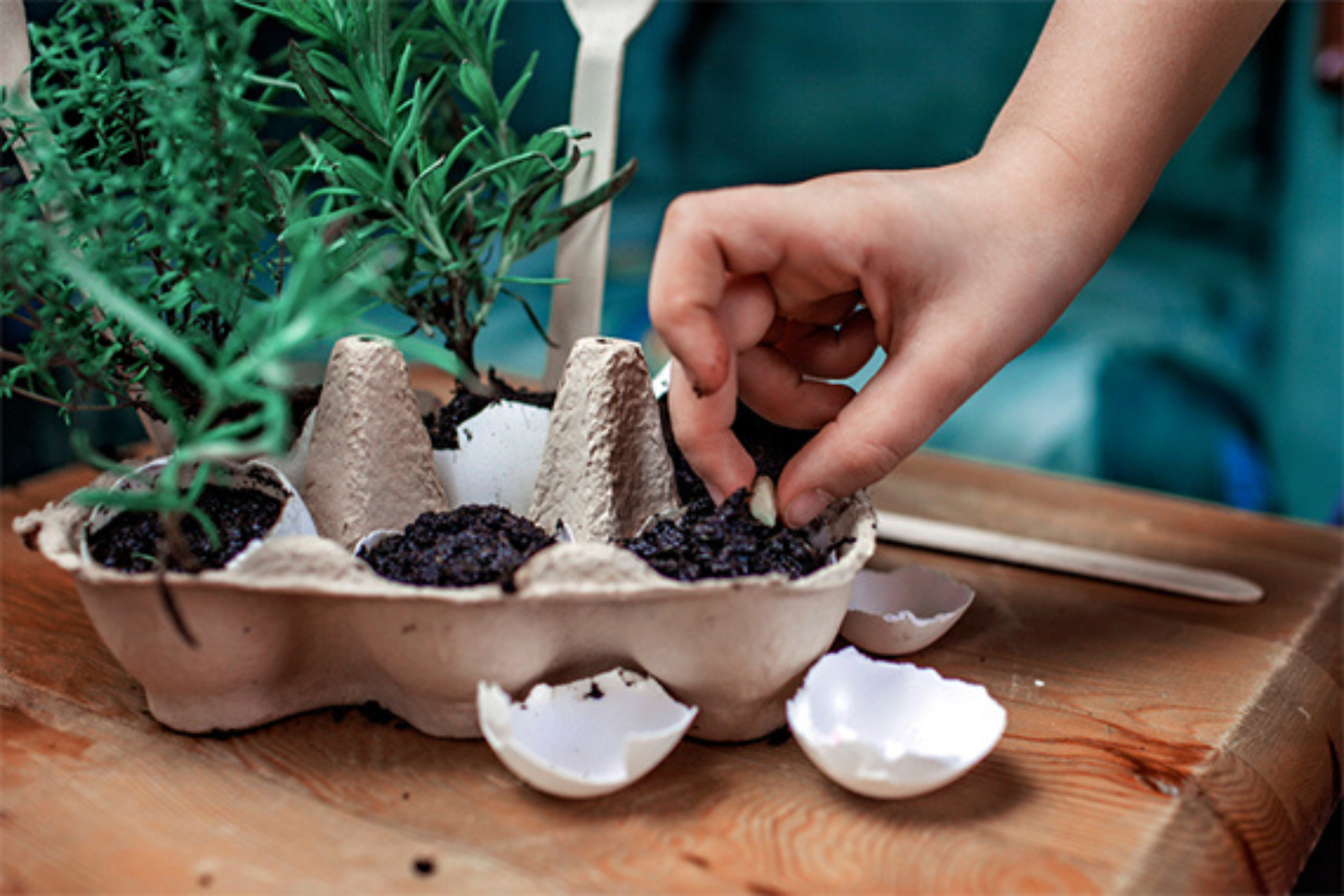 DIY Kids Herb Garden Tile 1