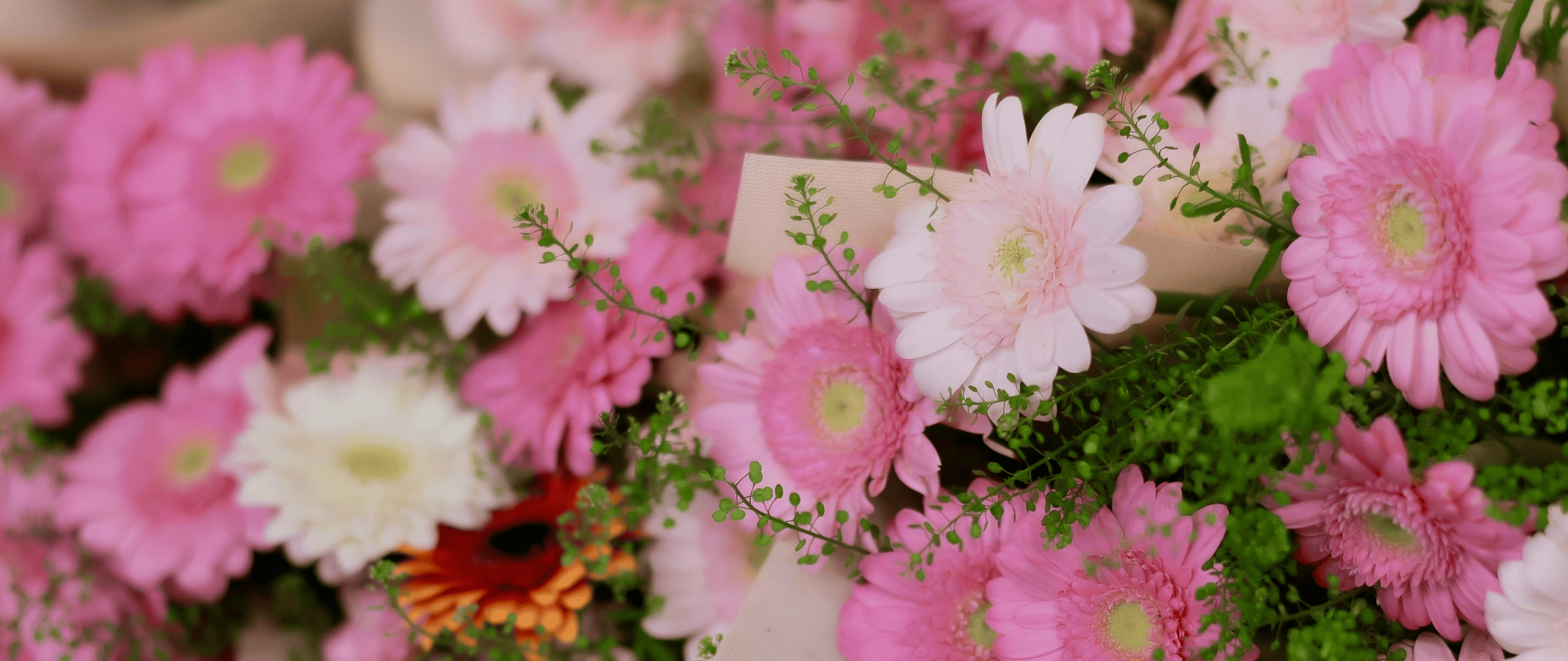 July Flowers