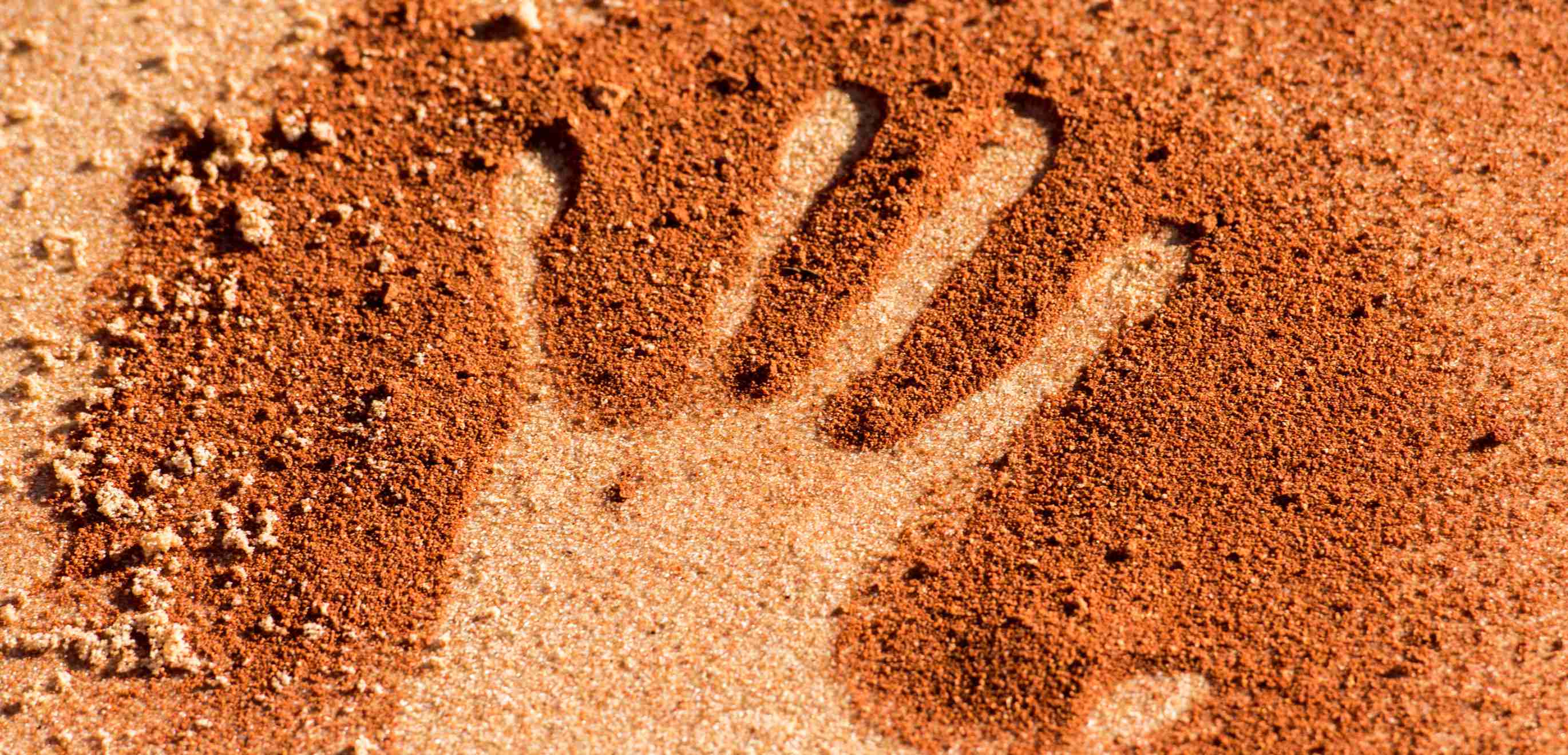 NAIDOC Week 2026 | 50 Years of Deadly