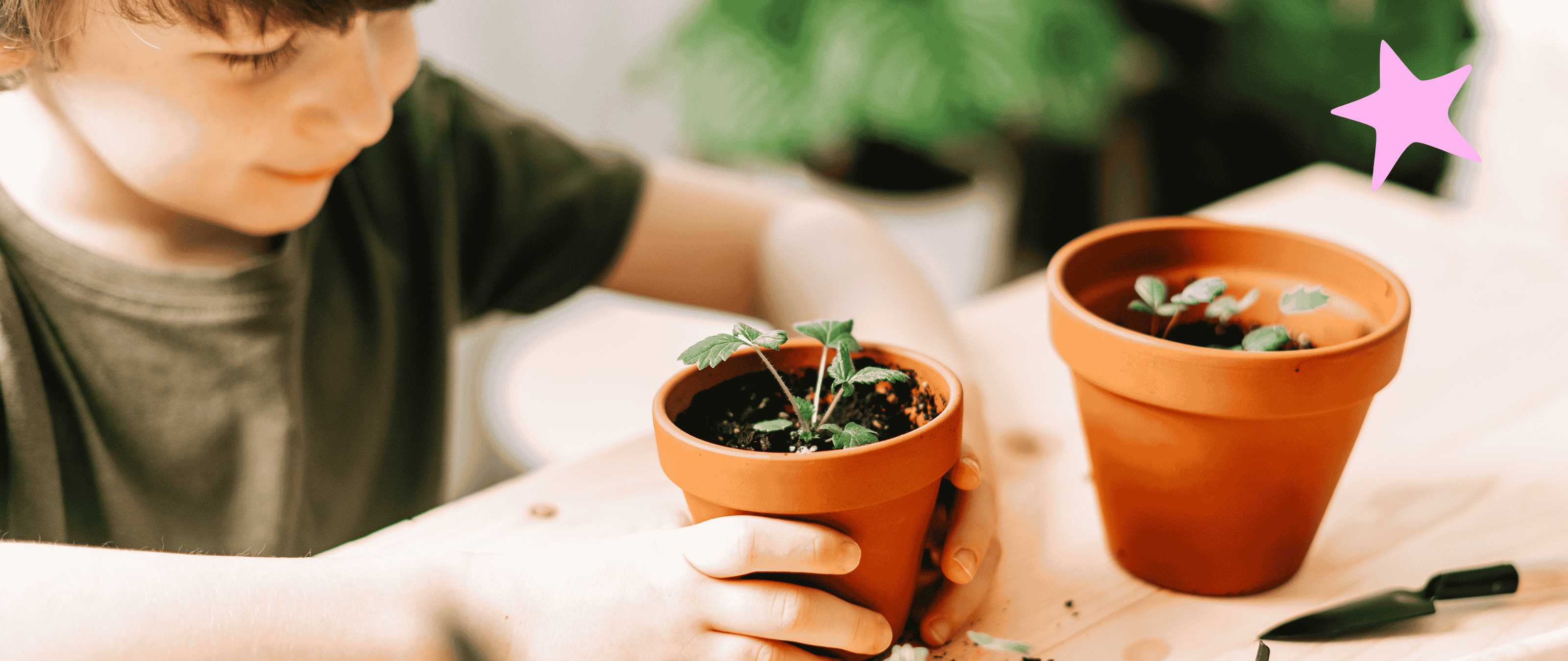 Pot Planting with Vapiano