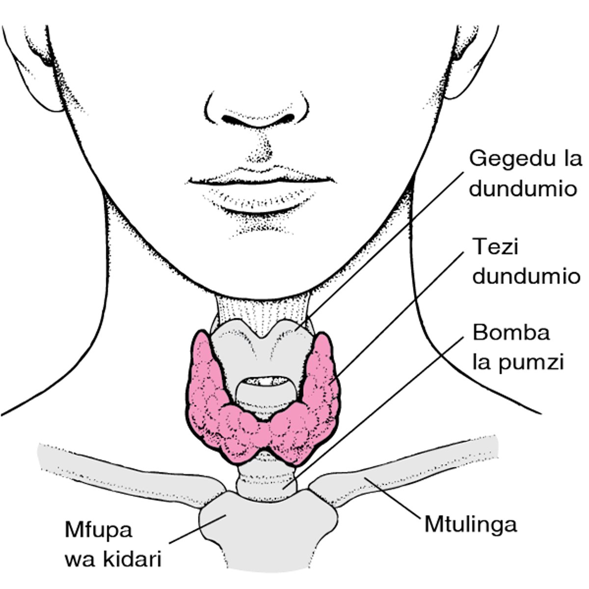 Kufikia Tezi Dundumio