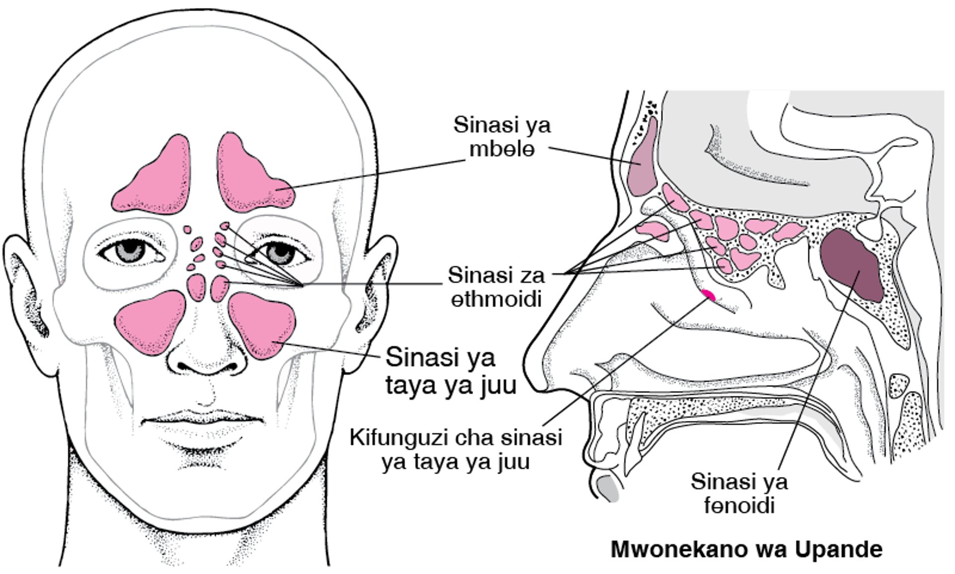 Kufikia Sanasi
