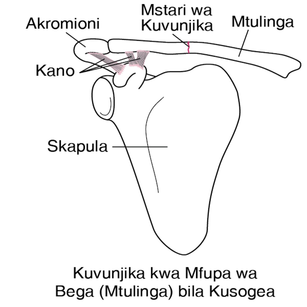 Kuvunjika kwa Mtulinga