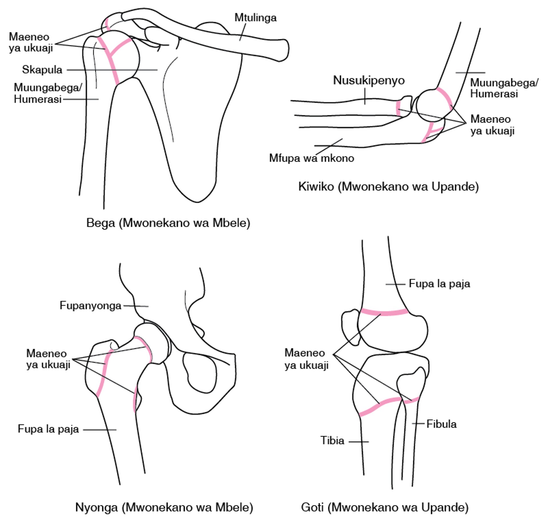 Kutafuta Maeneo ya Ukuaji