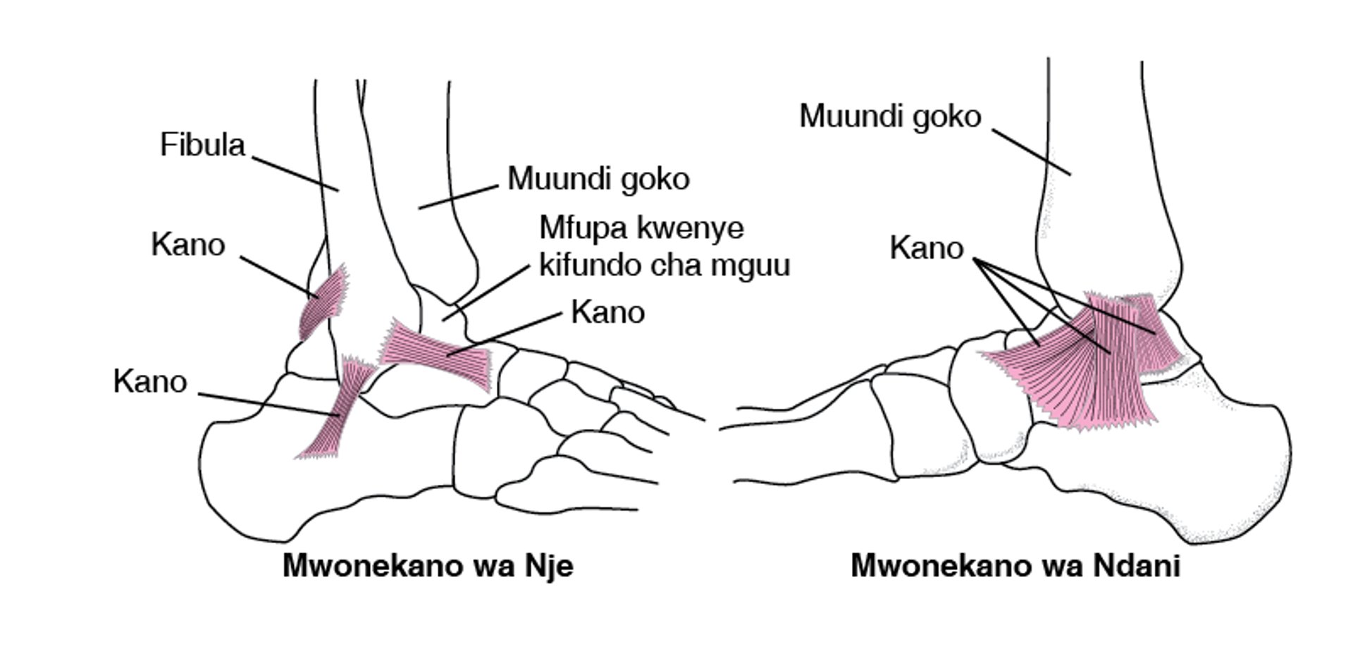 Kano: Kushikilia Kifundo cha Mguu Pamoja