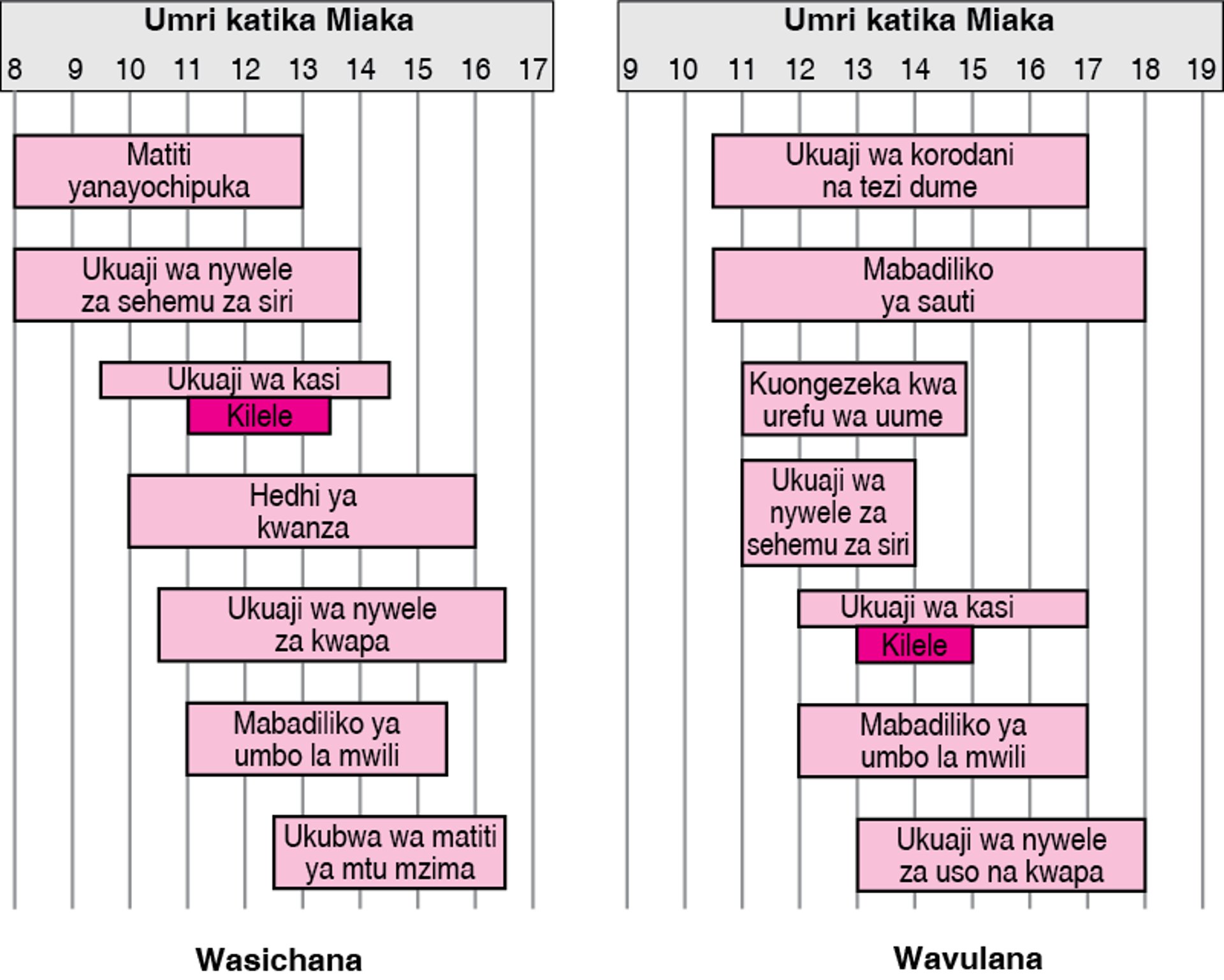 Hatua katika Ukuaji wa Viungo vya Uzazi kwa Wasichana na Wavulana