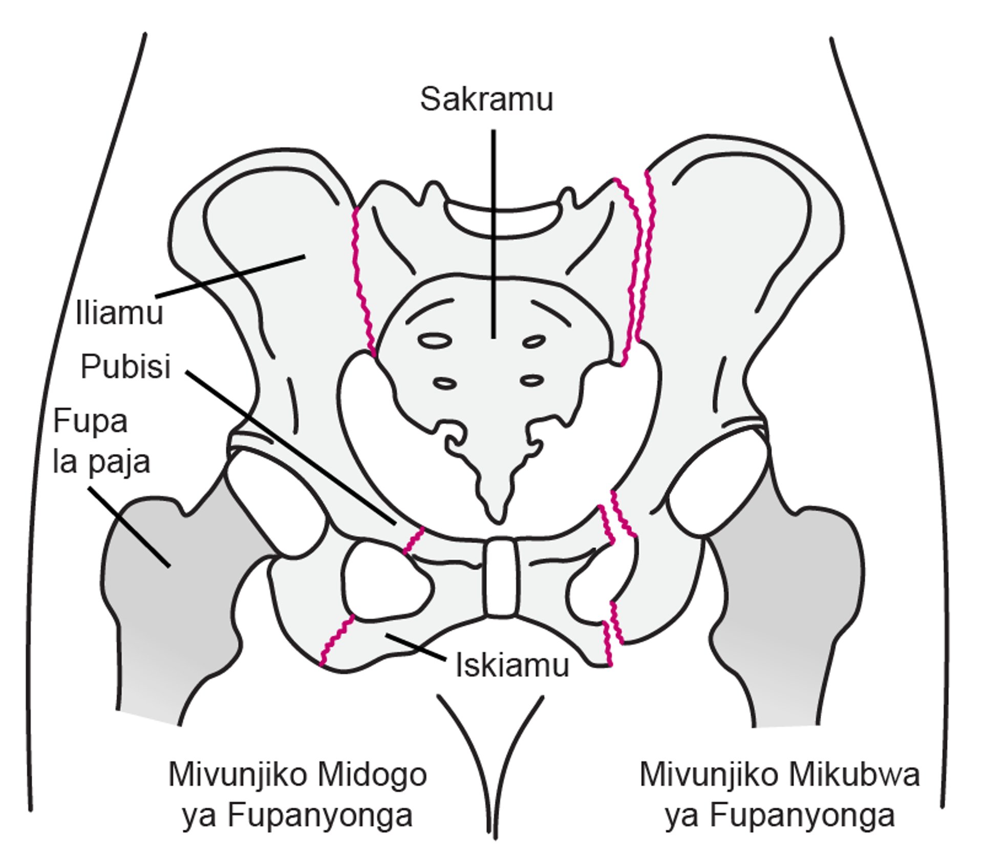 Mivunjiko ya Fupanyonga