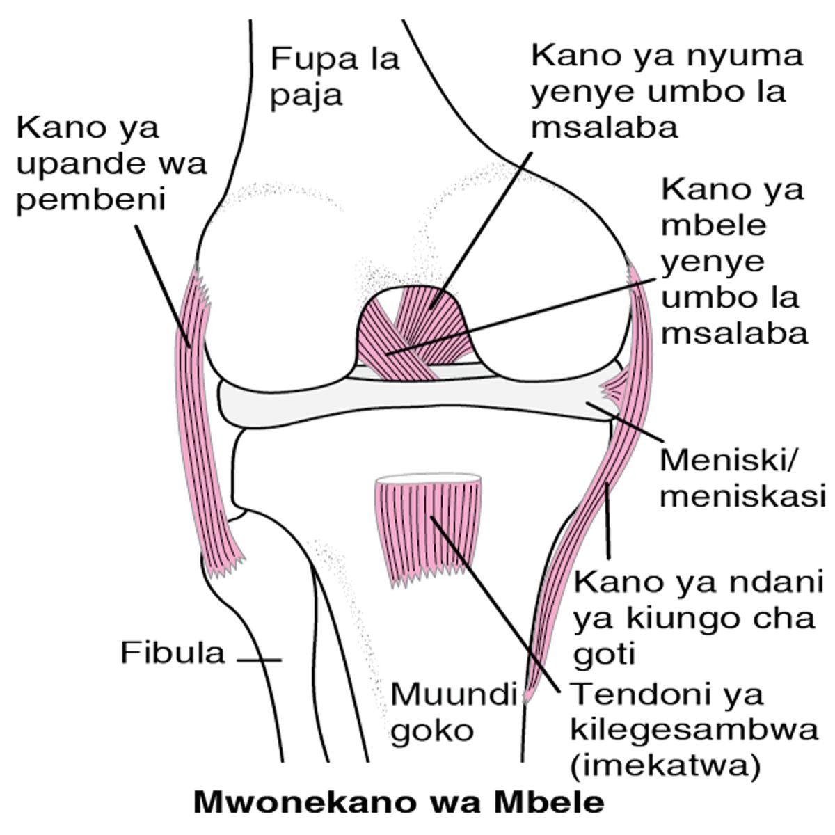 Kushikilia Magoti Pamoja