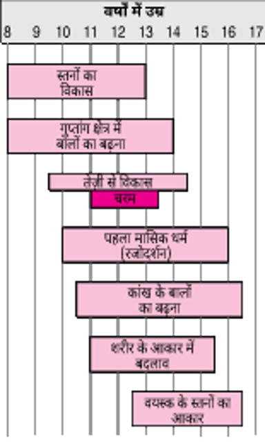 लड़कियों में यौन विकास के महत्वपूर्ण चरण
