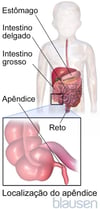 Localização do apêndice