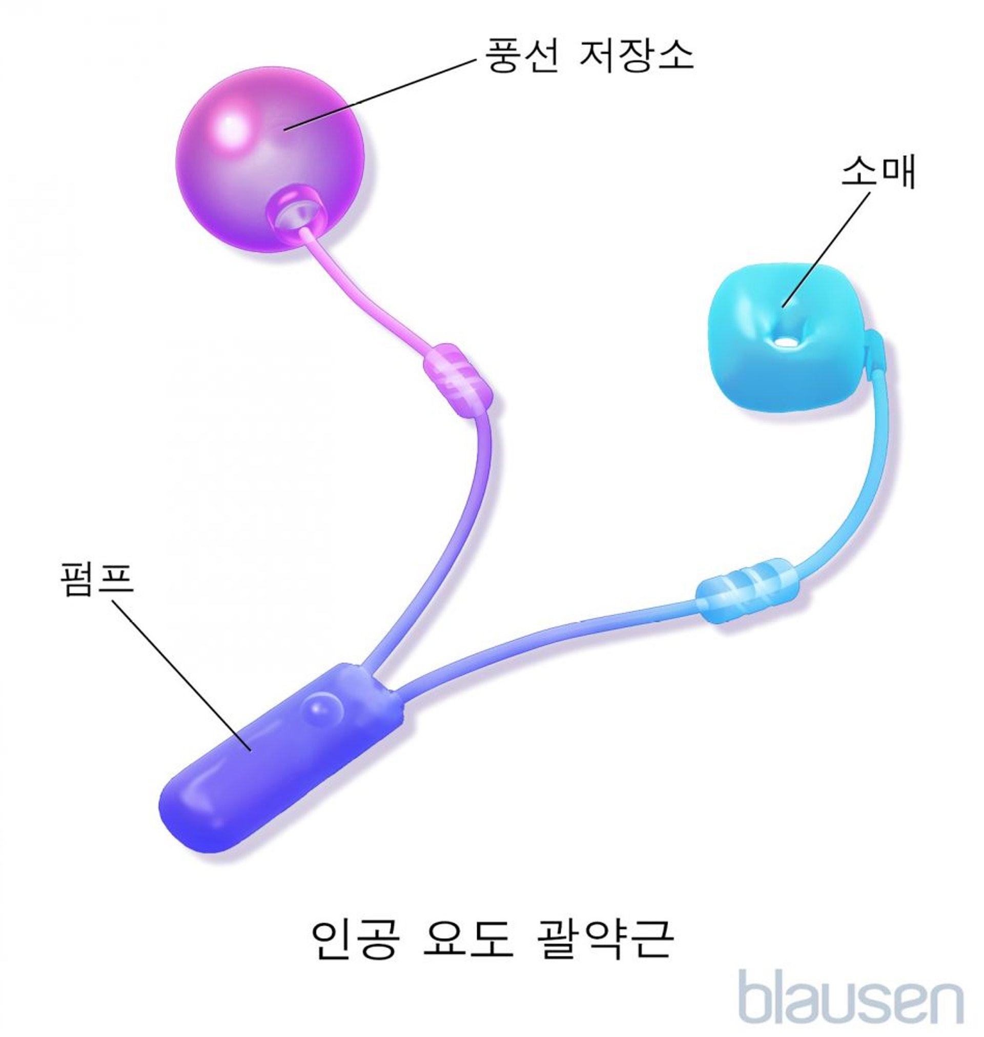 인공 요도괄약근