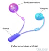 Esfíncter urinário artificial