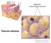 Tessuto adiposo