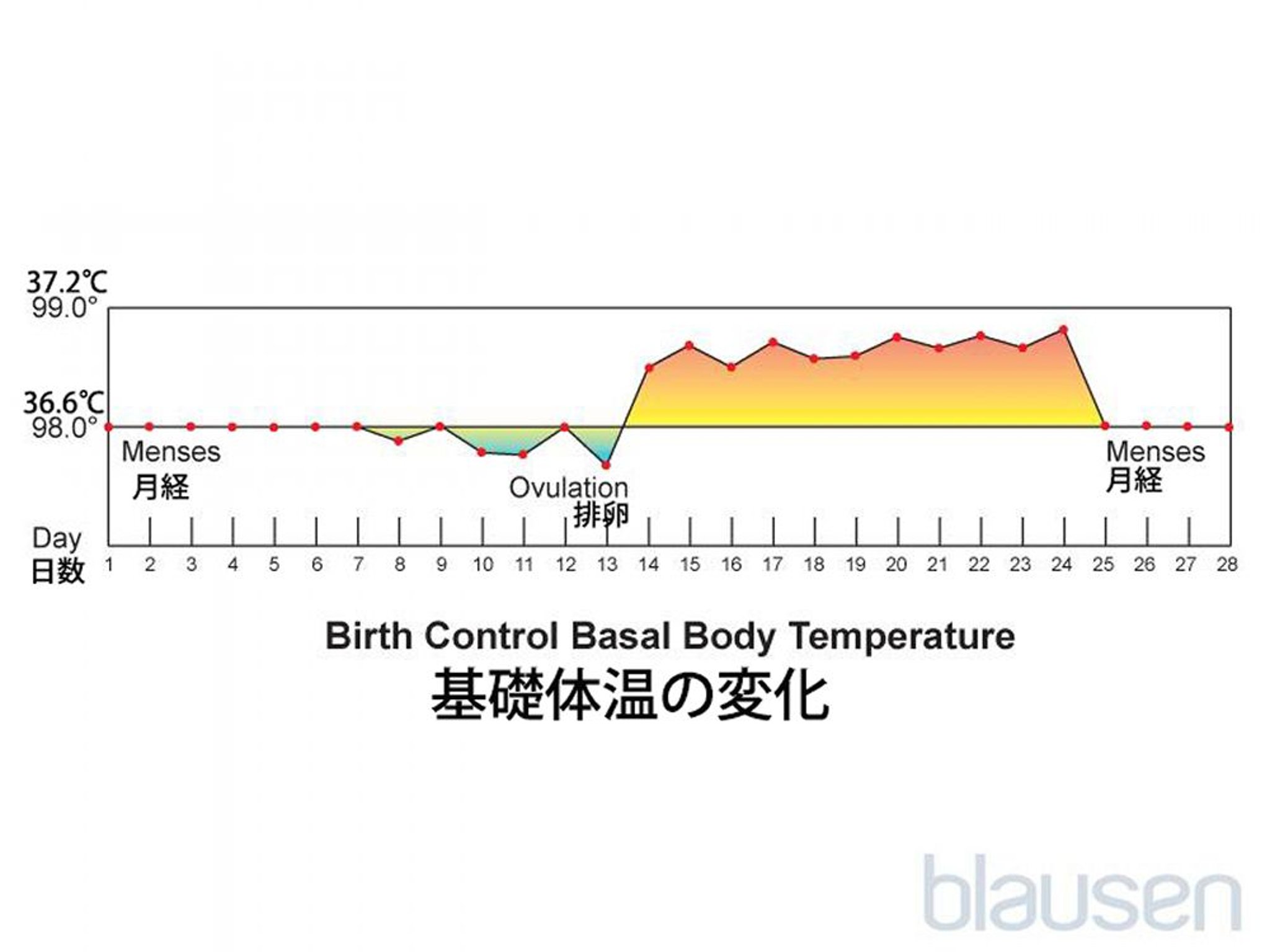 <ruby >基礎体温<rt >きそたいおん</rt></ruby>