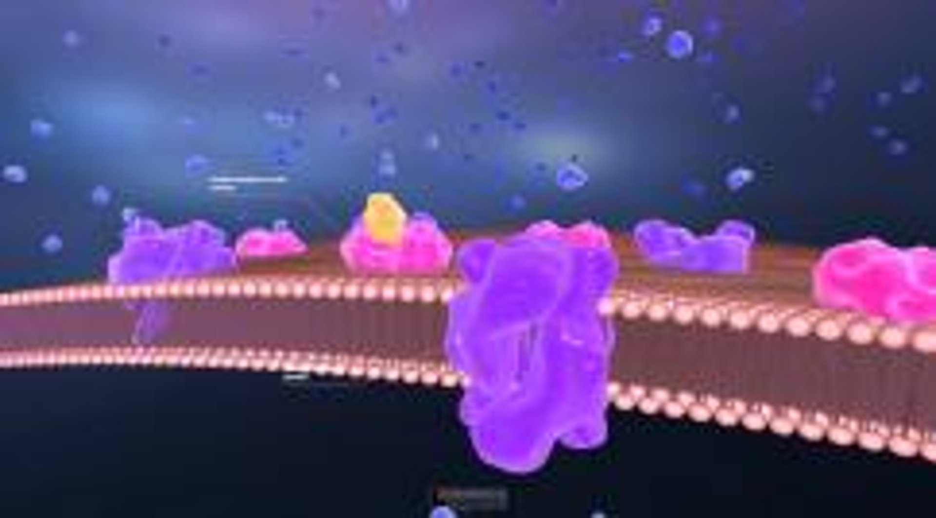 Merck Inulin 3D Model: How Insulin Works-Merck Manual Consumer Version