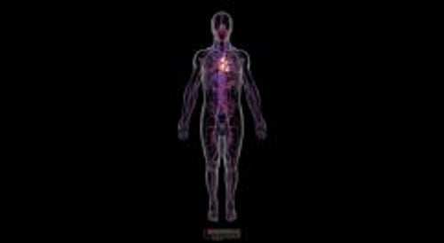 biodigital-male-cardiovascular-system-new-cv-resized_hi