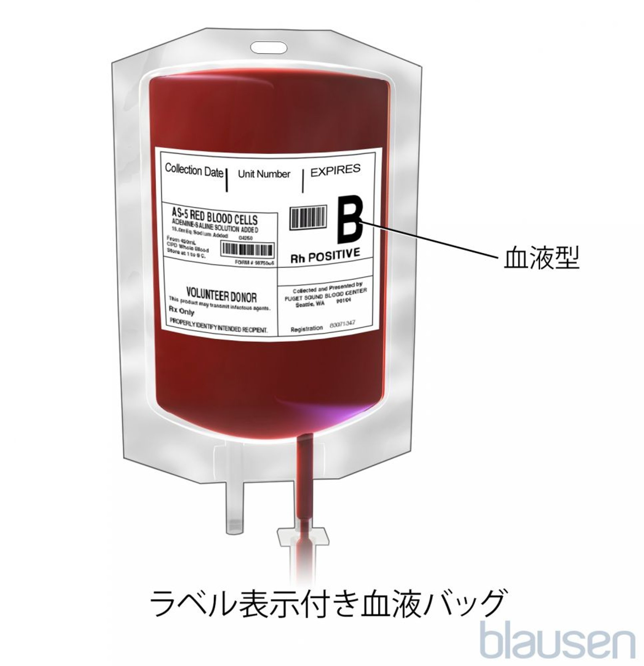 <ruby >血液<rt >けつえき</rt></ruby>バッグ