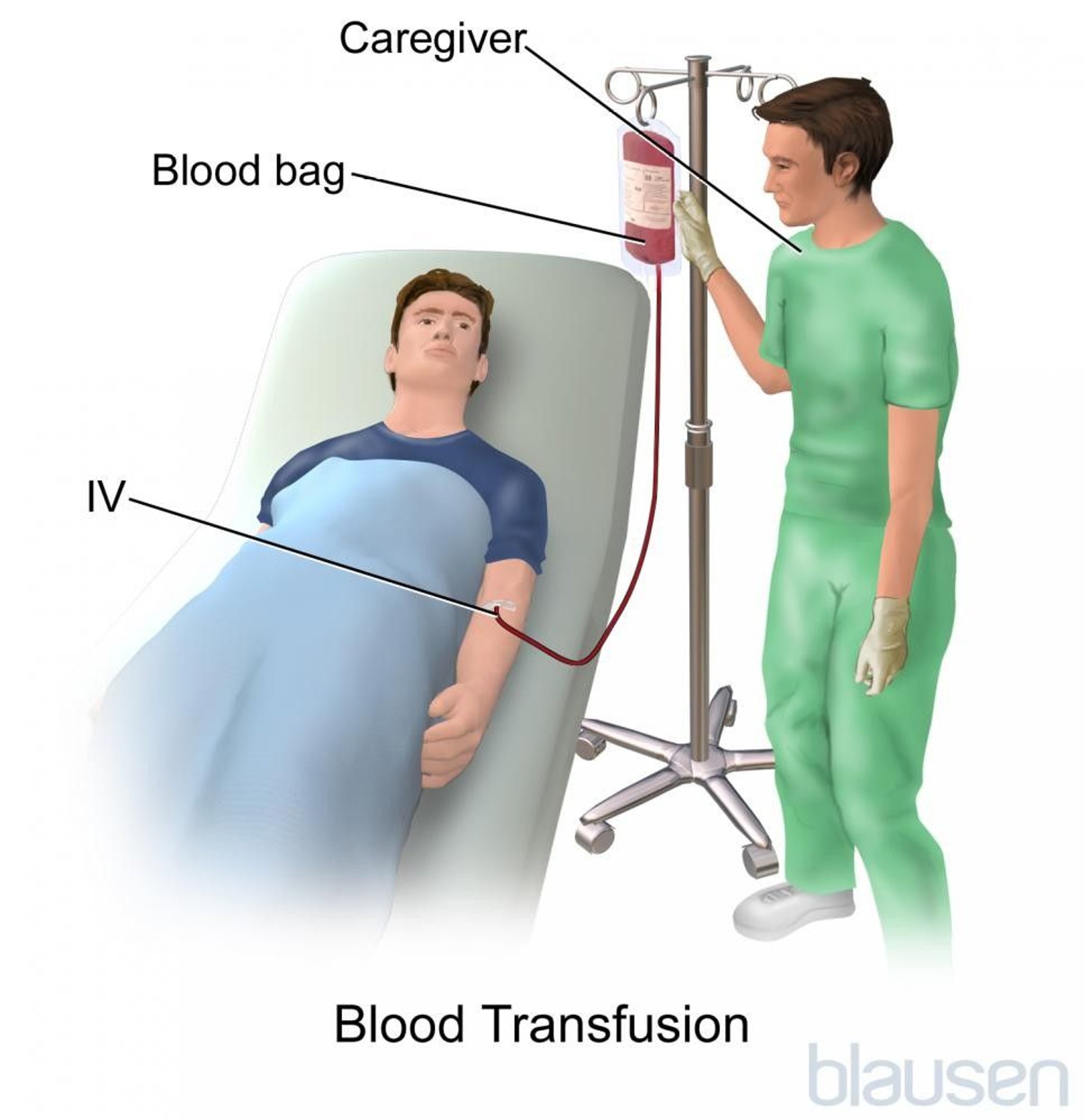 Blood Transfusion