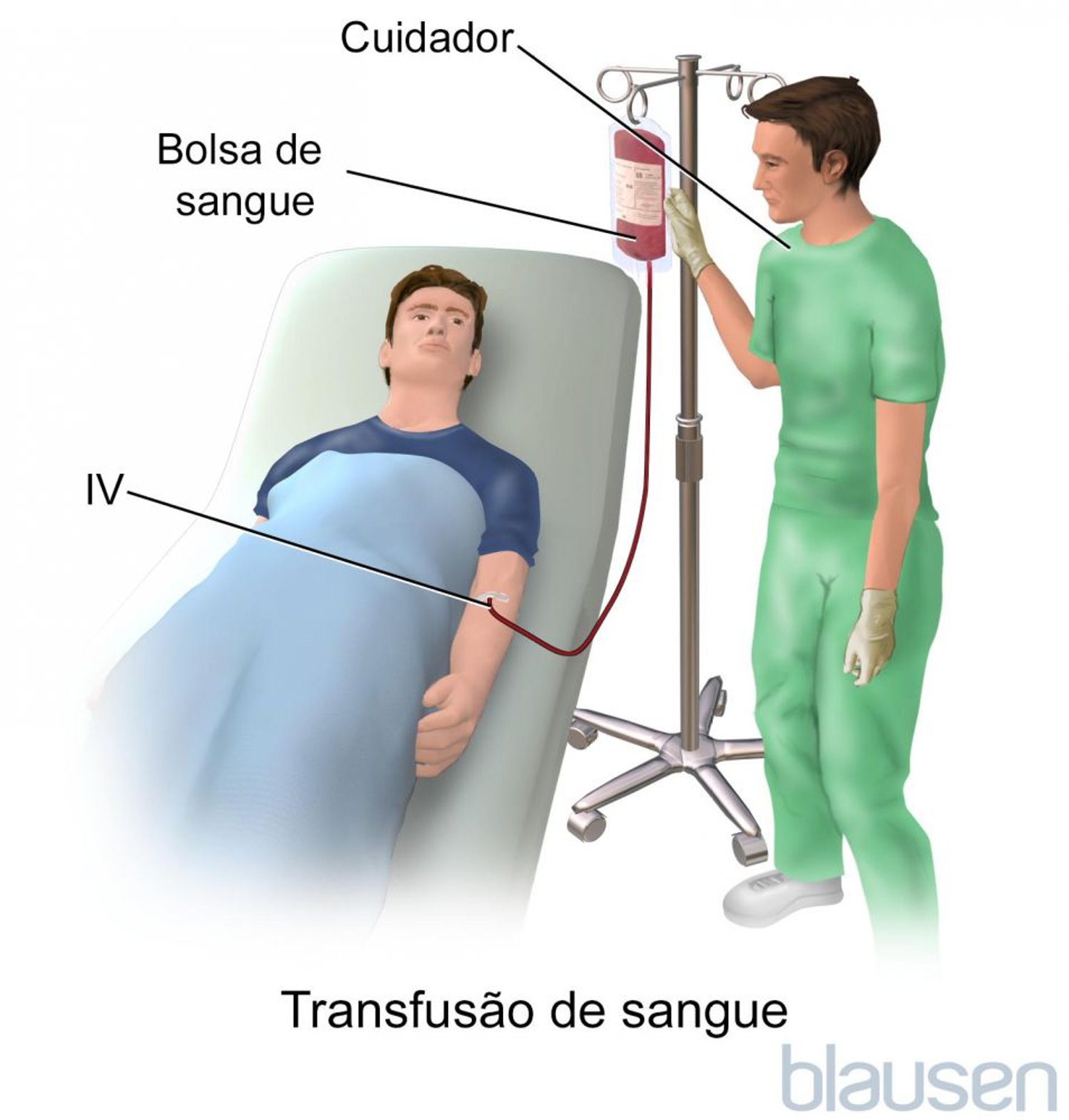 Transfusão de sangue