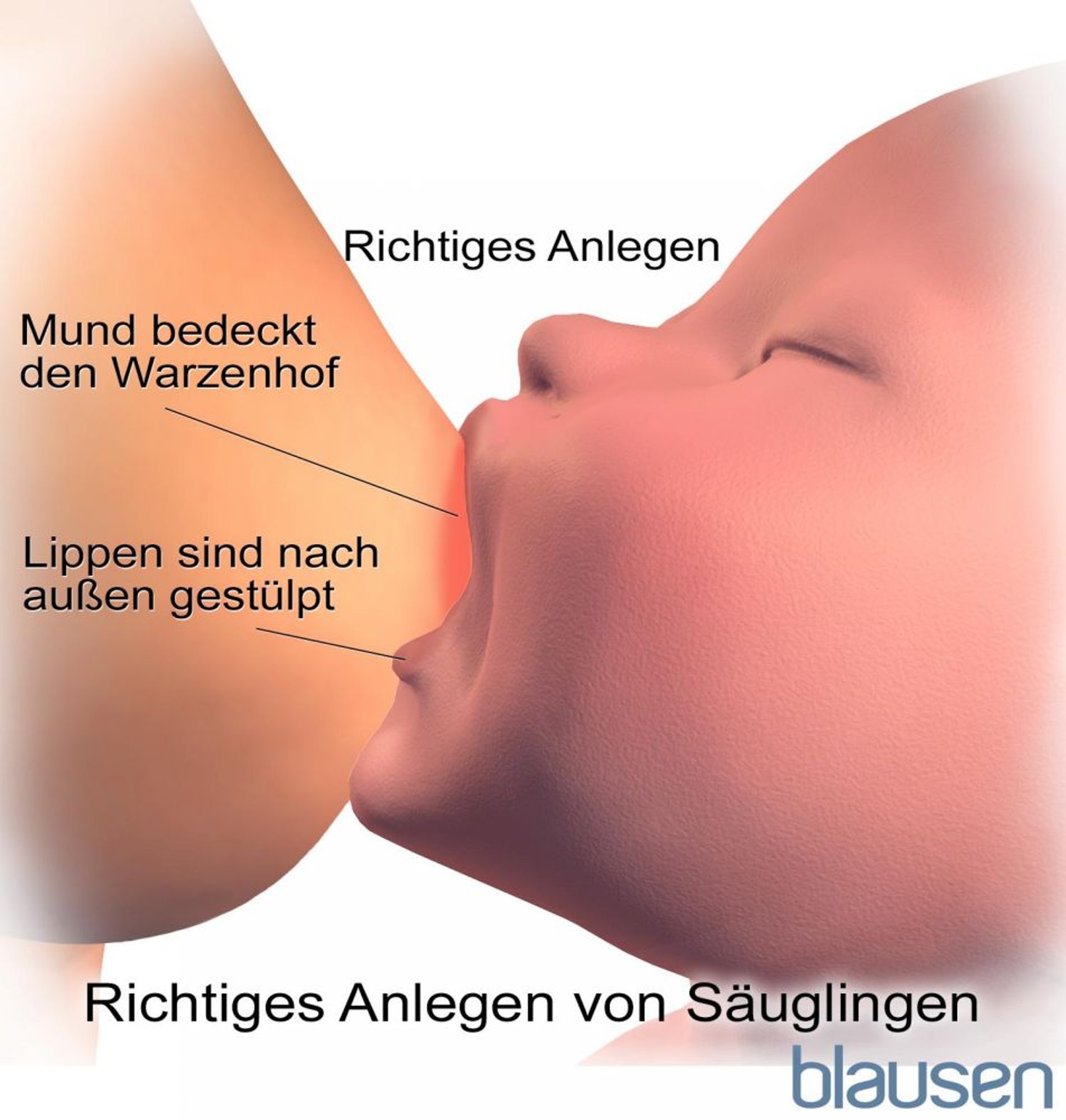 Korrekte Position, um das Baby beim Stillen an die Brust anzulegen