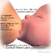授乳時の乳児の正しいラッチオン（吸いつき）