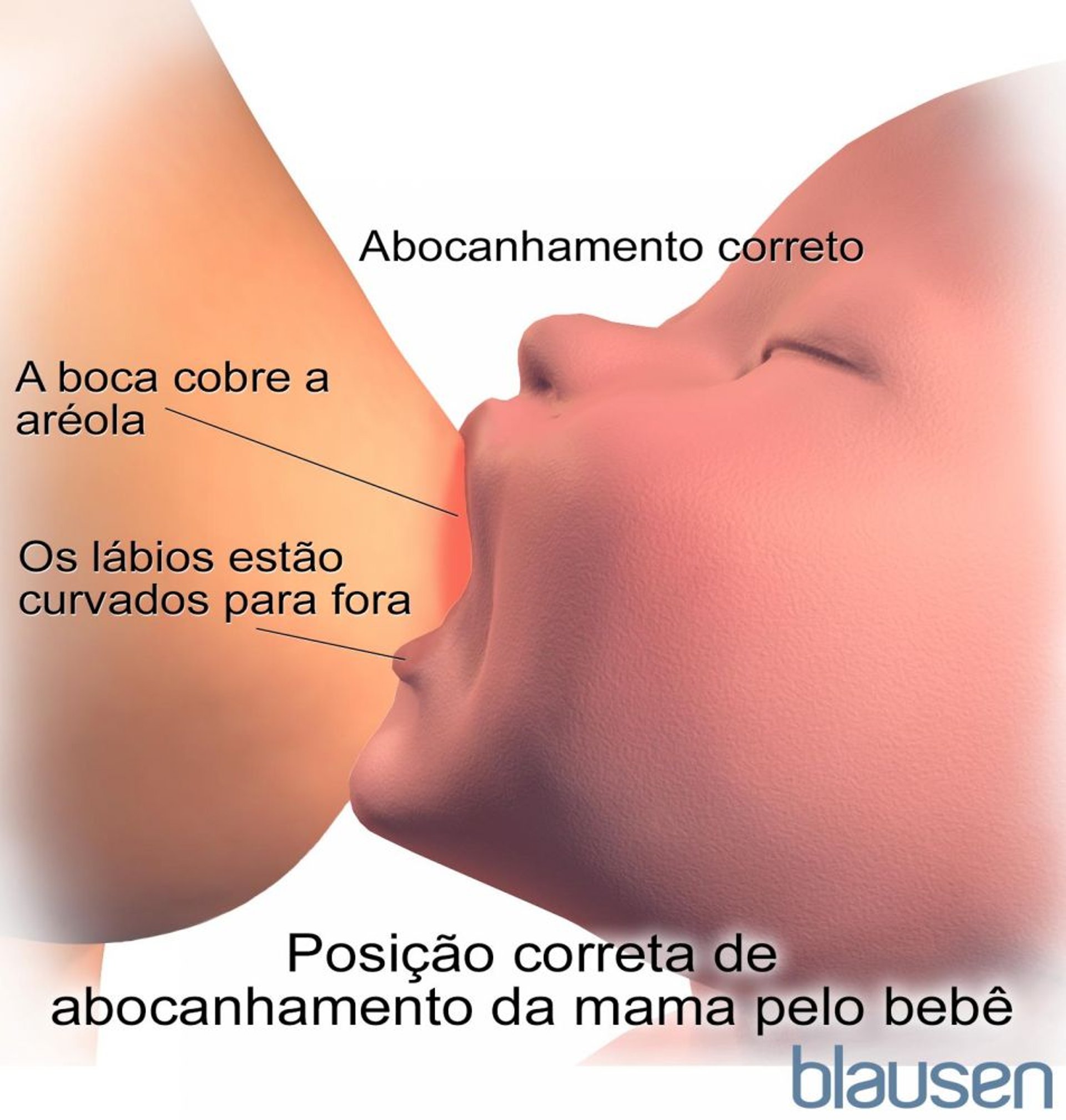 Posição correta de pega para a amamentação