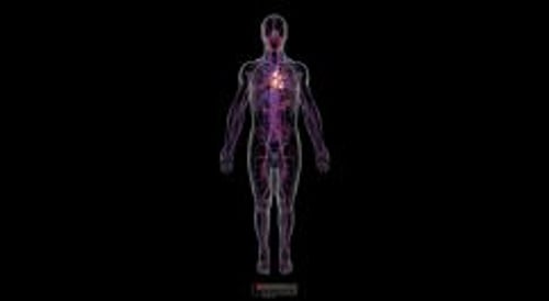 biodigital-male-cardiovascular-system-new-cv-resized_sw