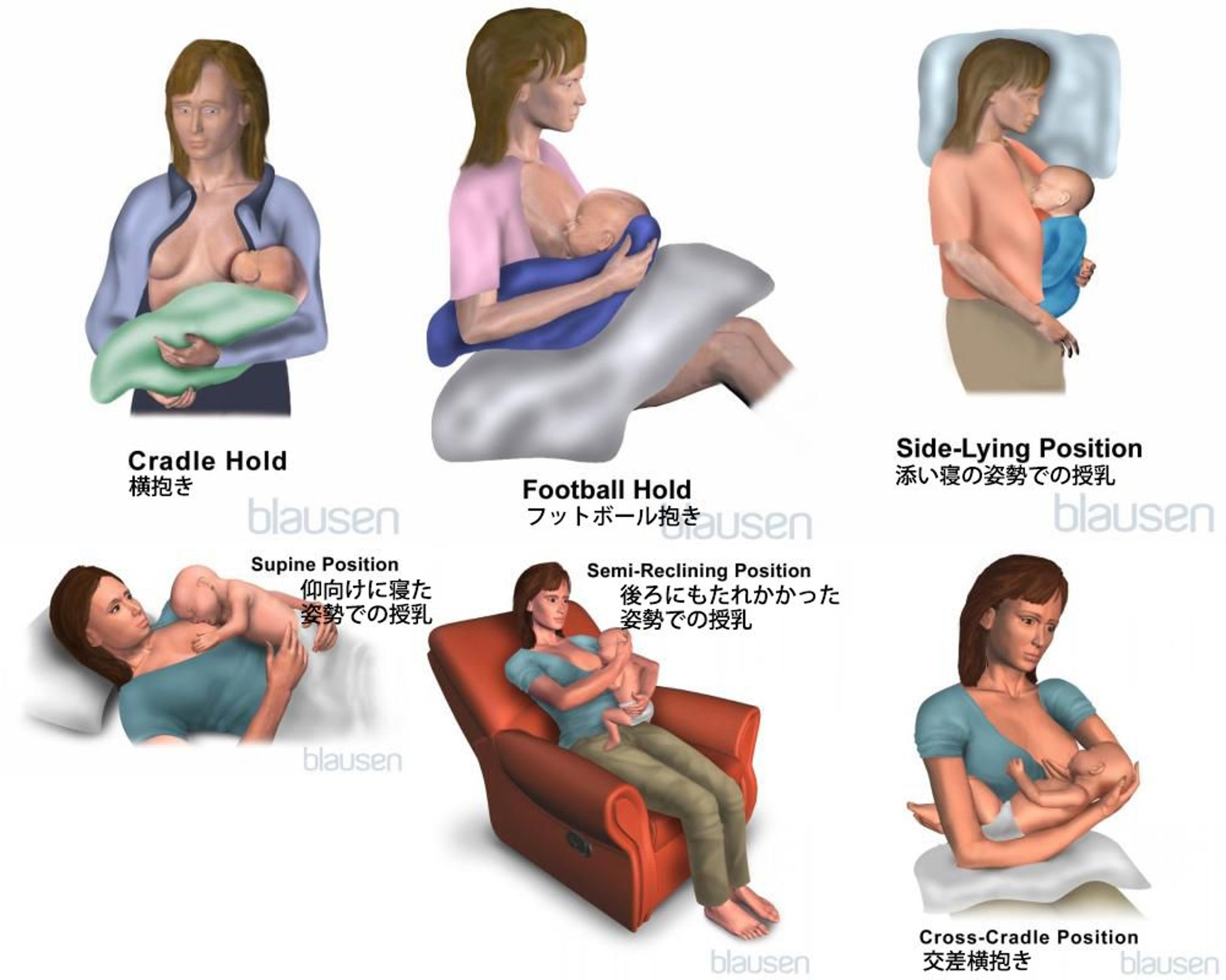 授乳姿勢の例