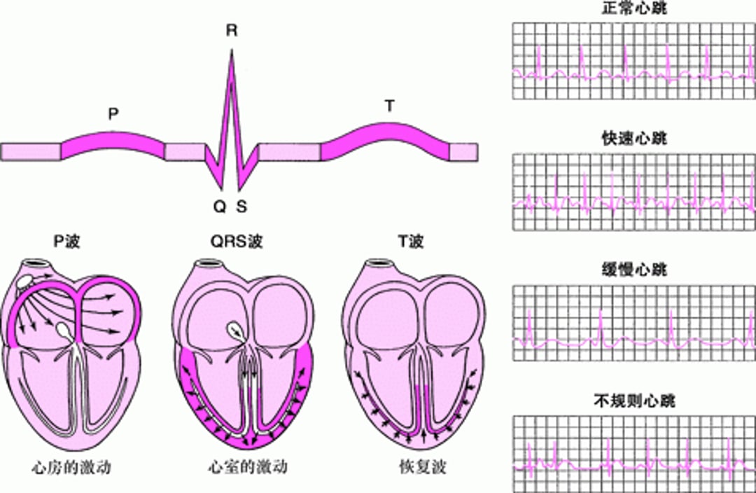 ECG：读取波形