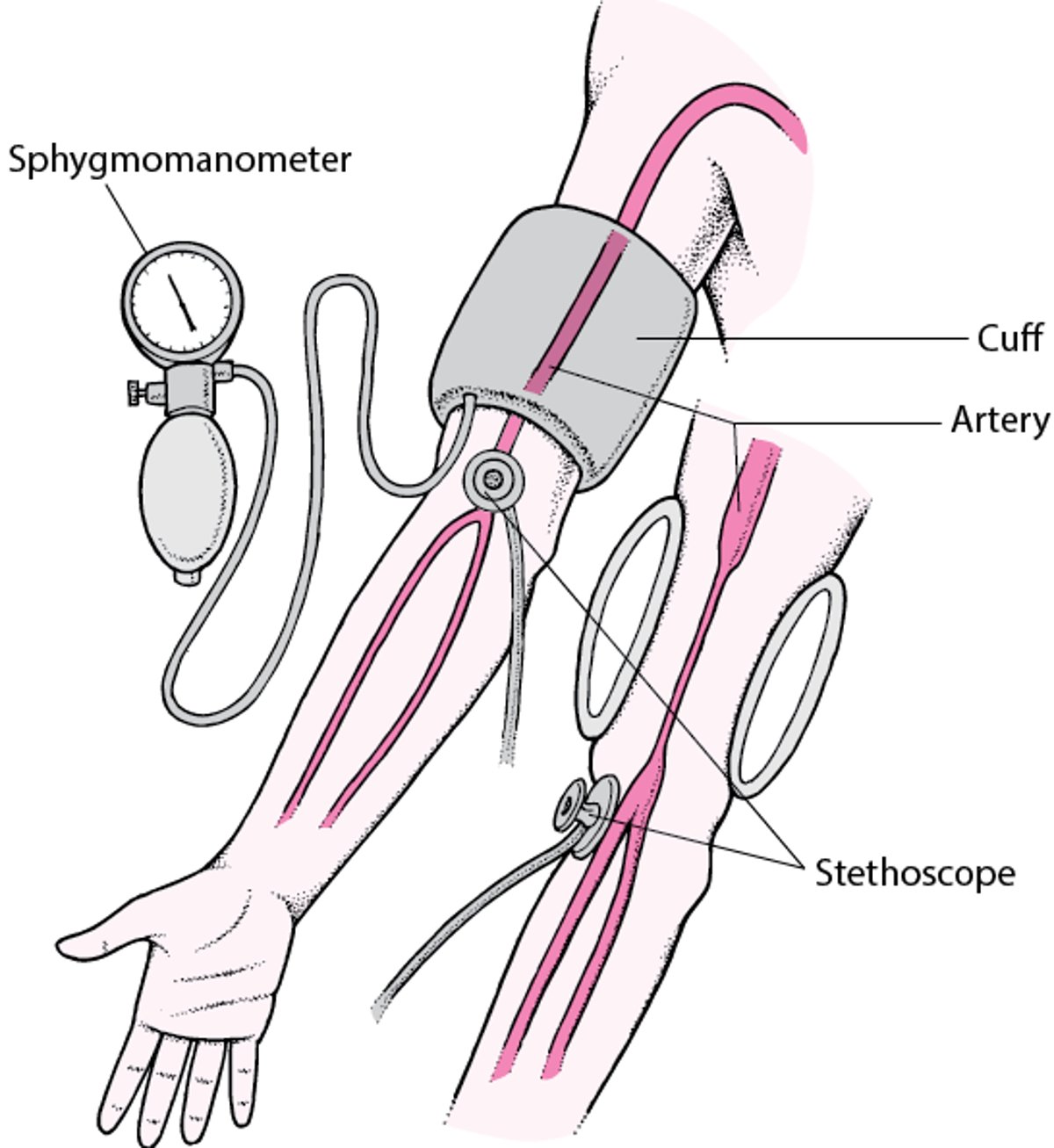 Measuring Blood Pressure